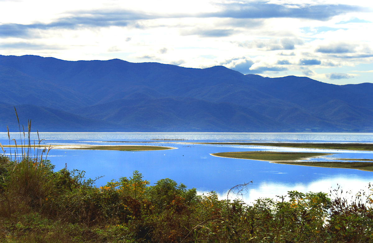 Lake Kerkini by Dimiter Georgiev