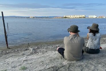 bird photography in Bulgaria